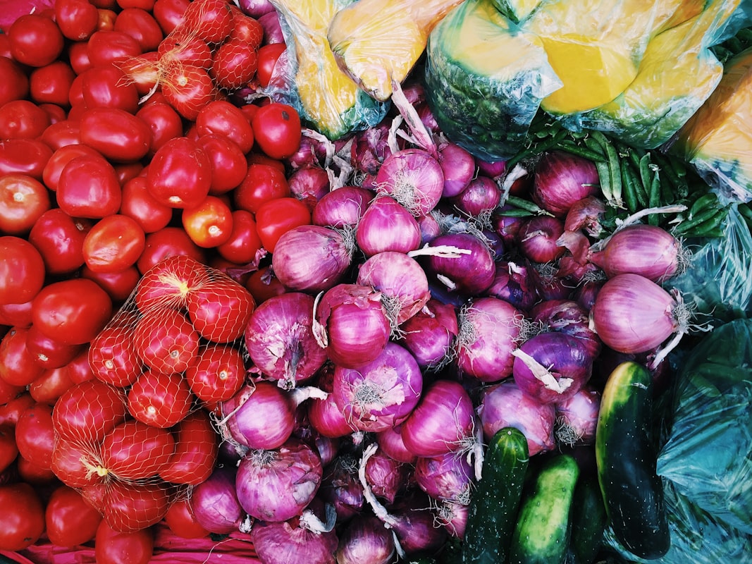 Professionelle Ernährungsberatung mit Fachexperten
